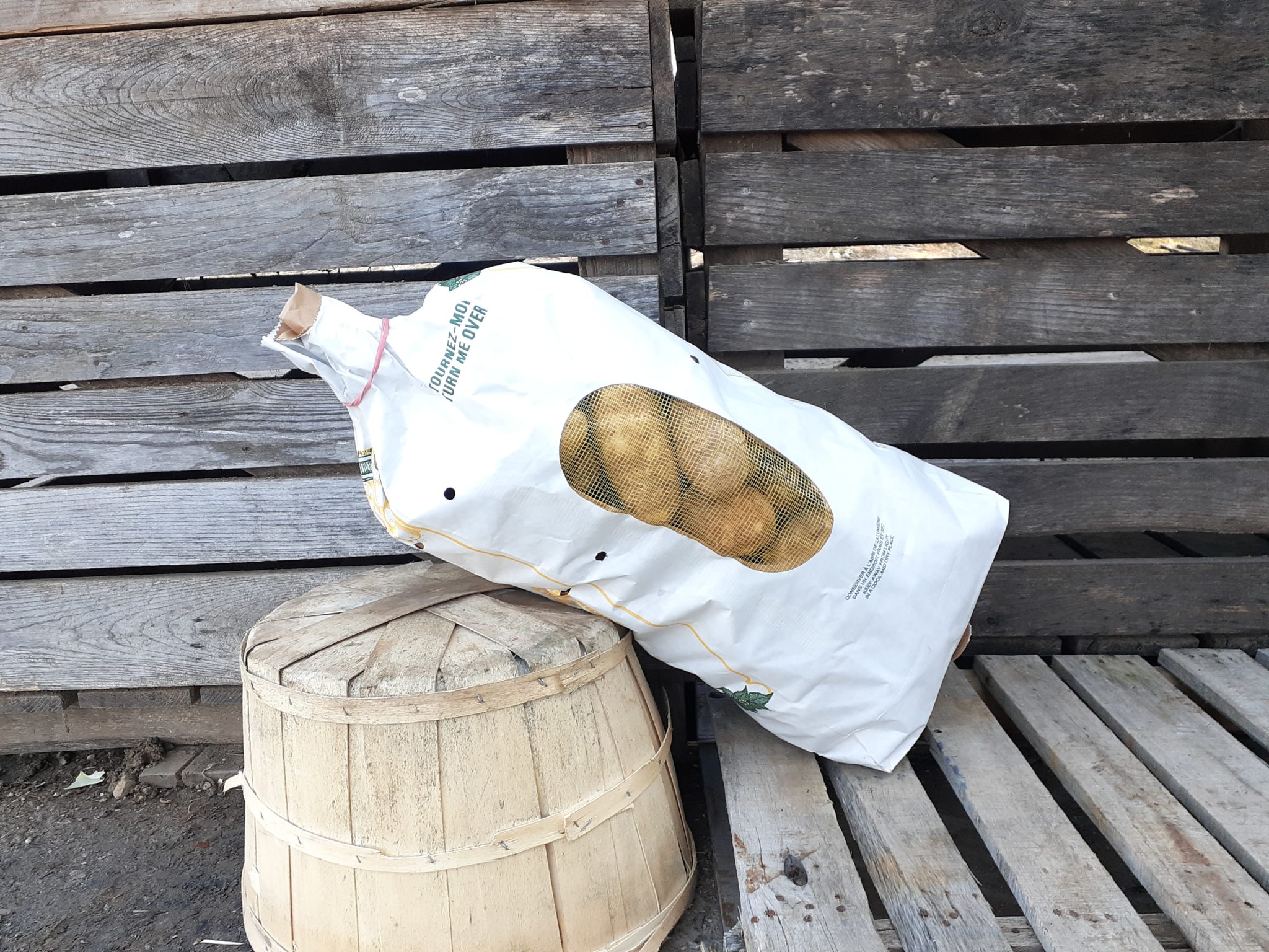 5 lbs russet potatoes