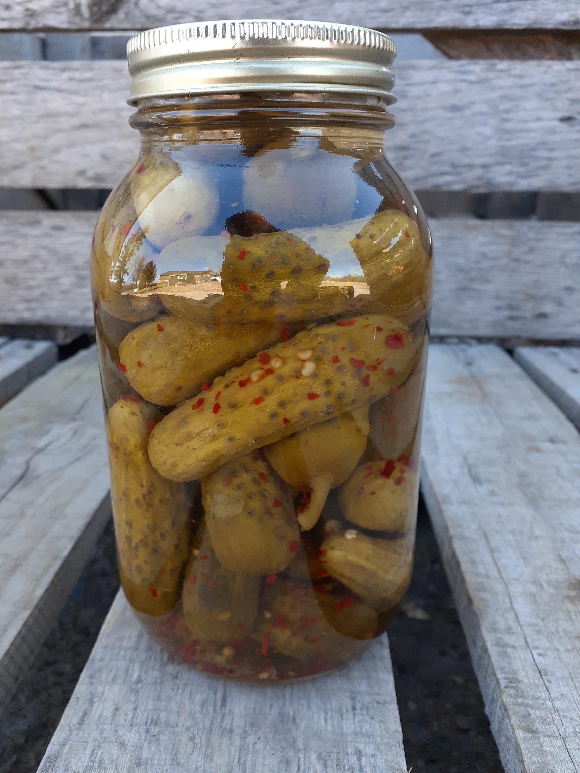 Hot Pickles (1L jar) Gmach Gardens