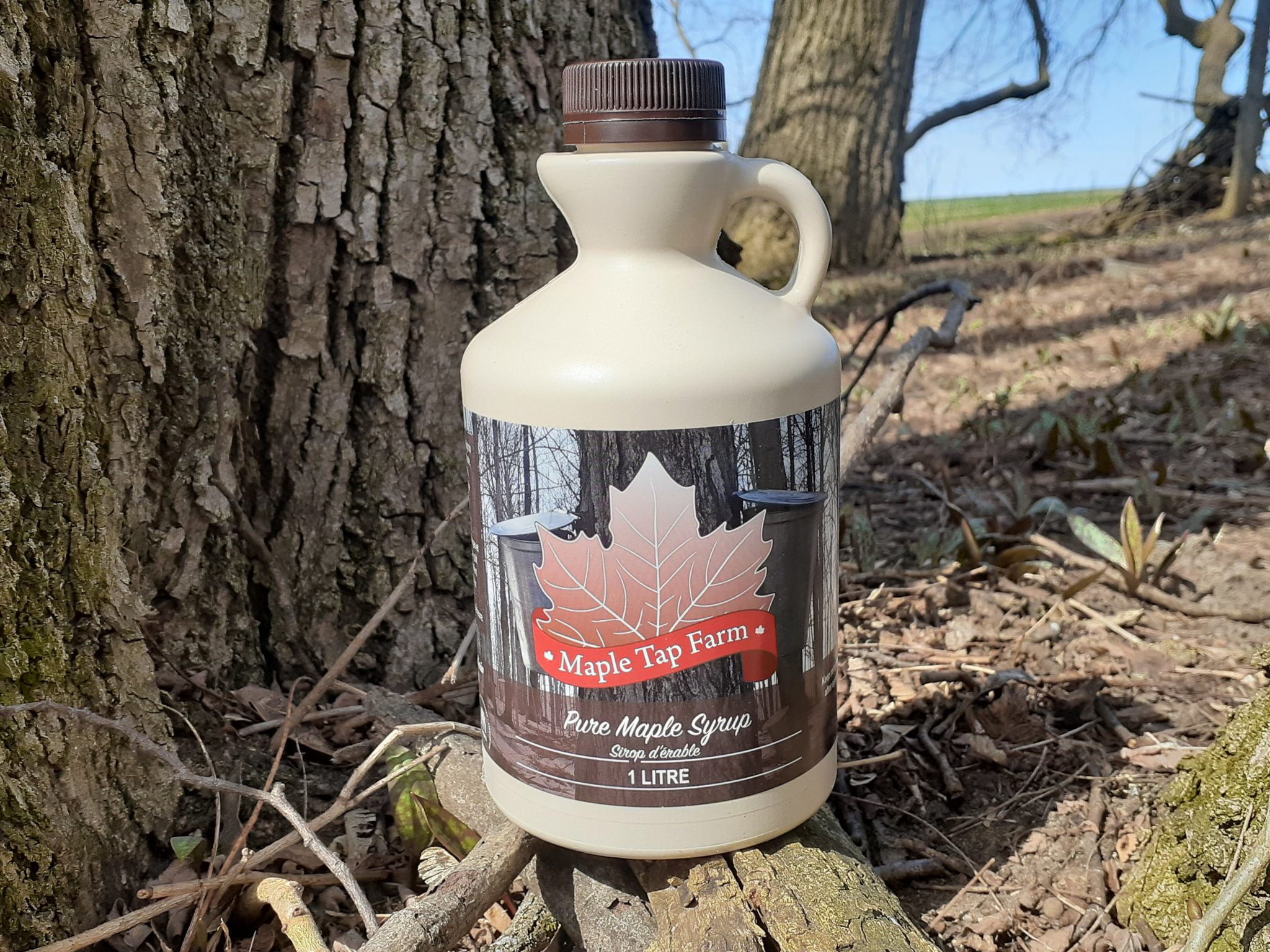 Local Pure Maple Syrup* (1L Plastic Jug) Gmach Gardens