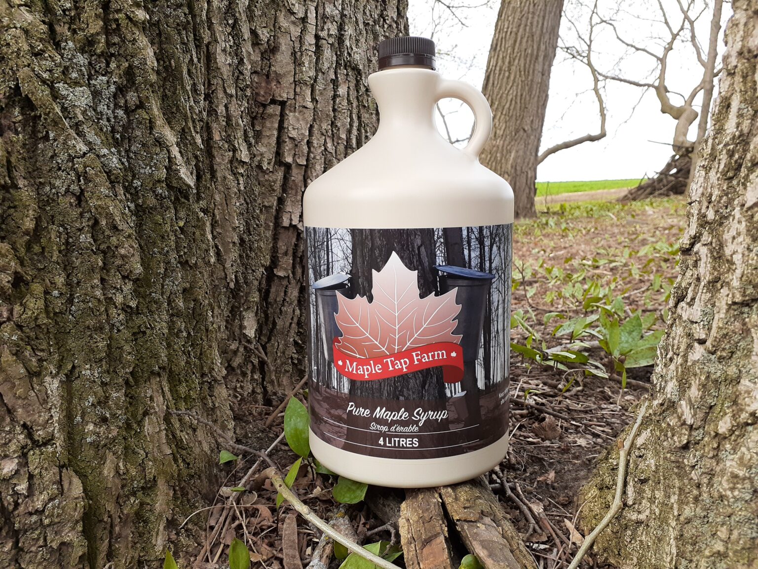 New Crop Local Pure Maple Syrup* (4L Plastic Jug) Gmach Gardens