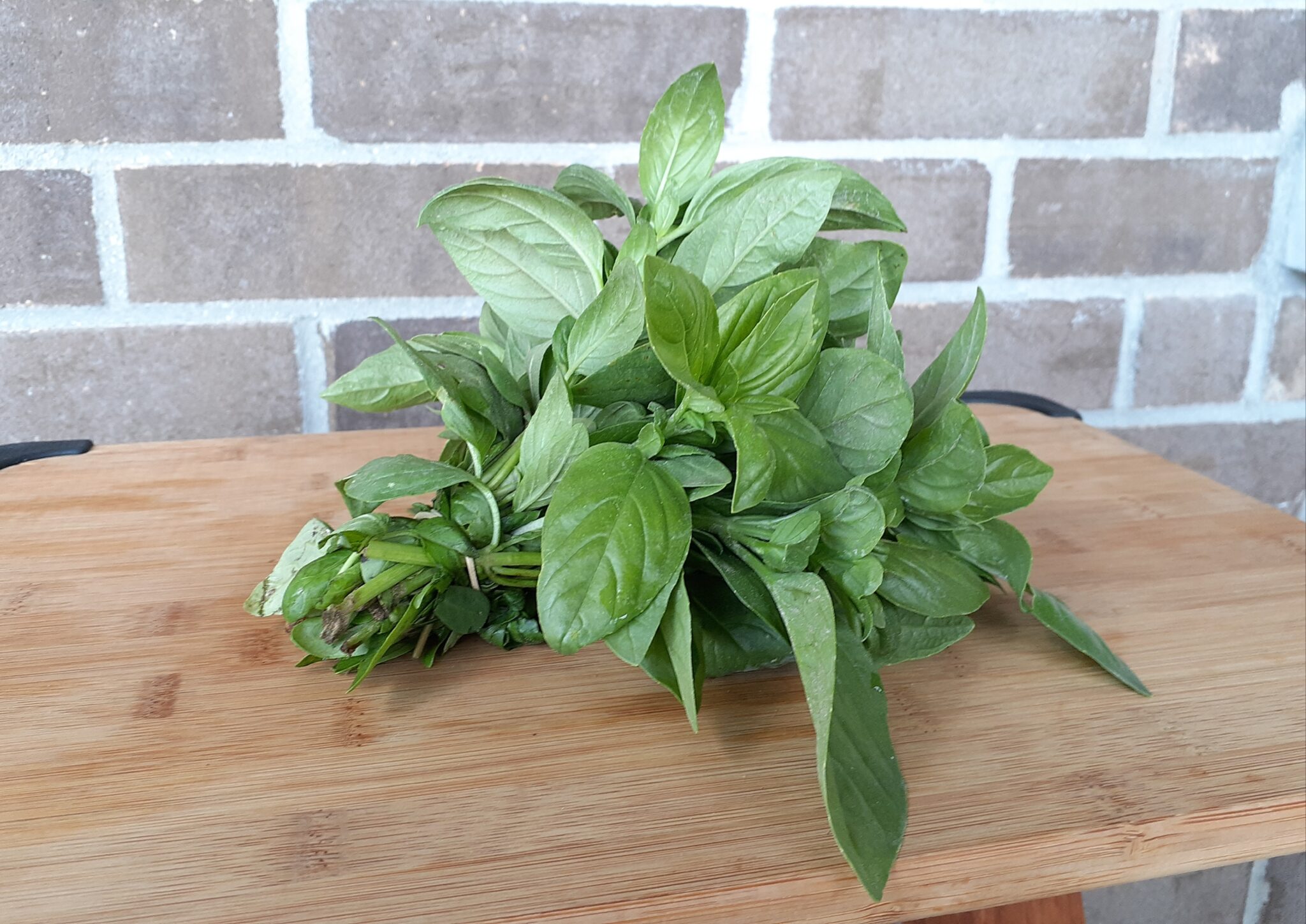 Herbs Basil (Bunch) Gmach Gardens