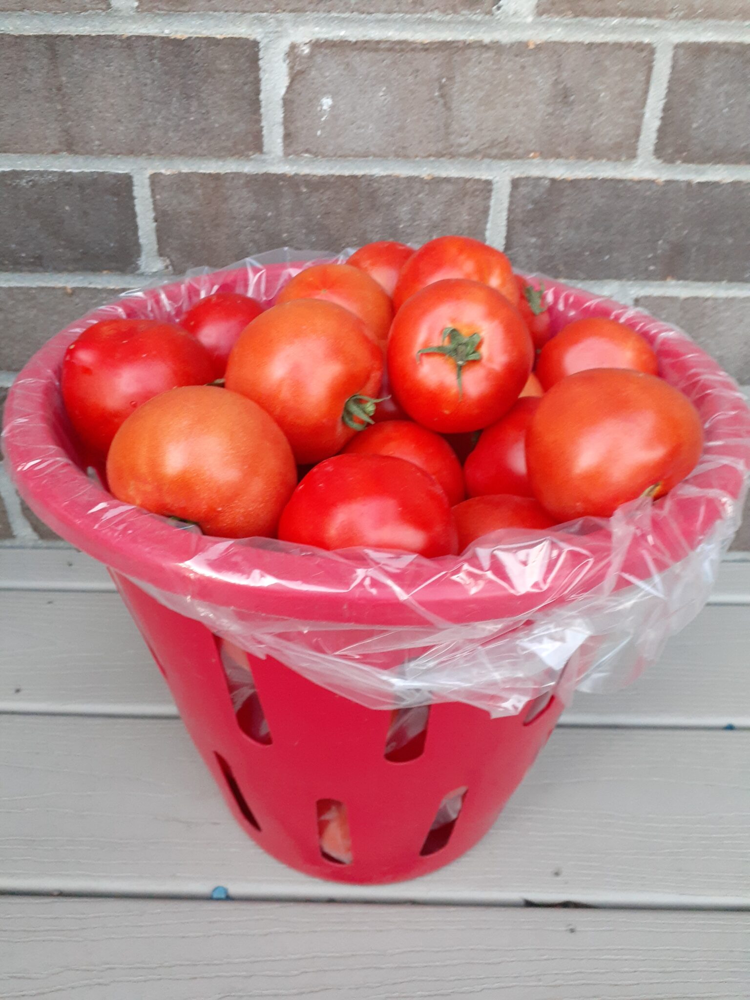 TomatoesBeefsteak (1/2 Bushel) Gmach Gardens